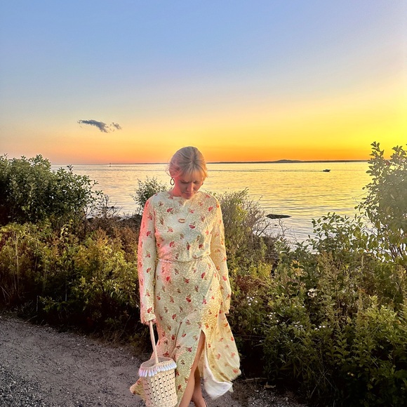 Anthropologie BHLDN Dani Long-Sleeve Open-Back Fit & Flare Maxi Dress - Picture 5 of 6